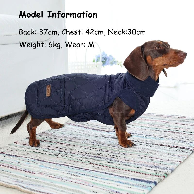 Roupinha de Inverno para Dachshund