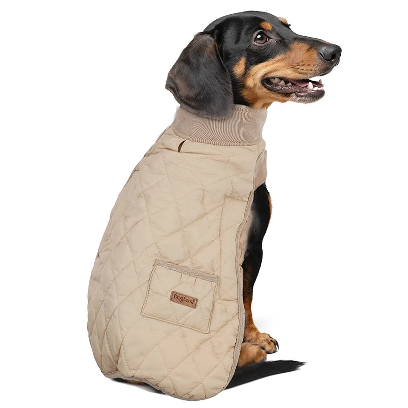 Roupinha de Inverno para Dachshund