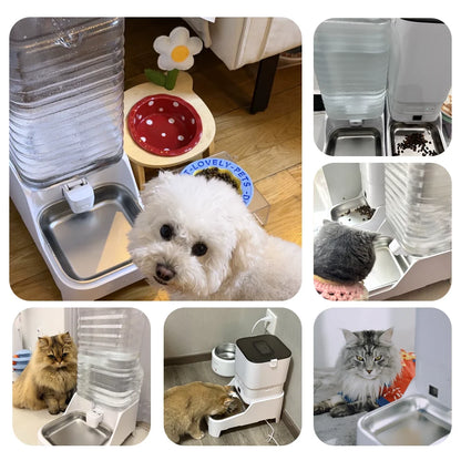 Comedouro Automático Inteligente com Câmera para Cães e Gatos