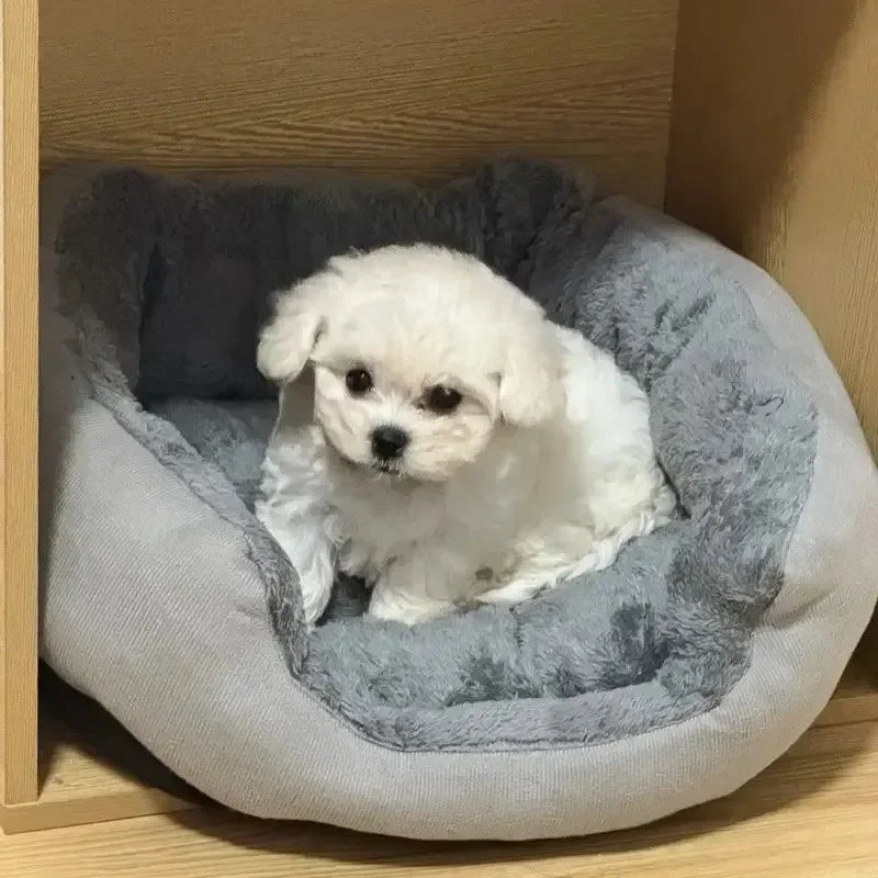Cama Sofá Super Macia para Cães e Gatos