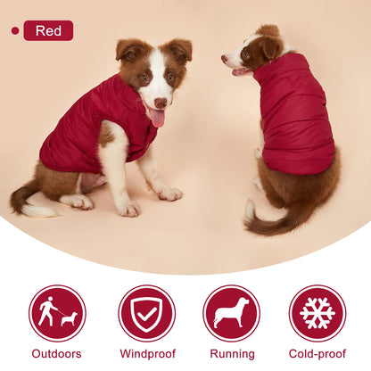 Roupinha Colete para Cães