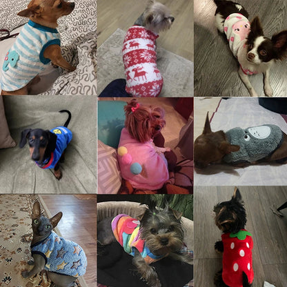 Colete de Inverno para Cães e Gatos
