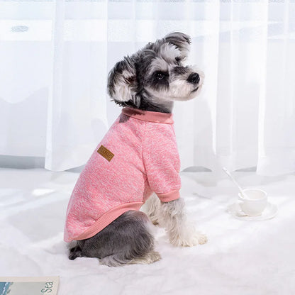 Roupinha de Tricô para Cães e Gatos