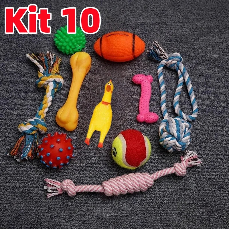 Kit com 10 Brinquedos Mordedores para Cães