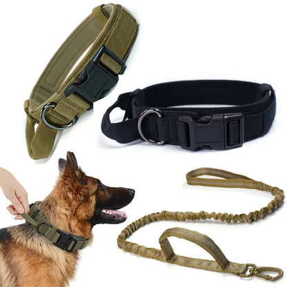 Coleira Tática para Cães