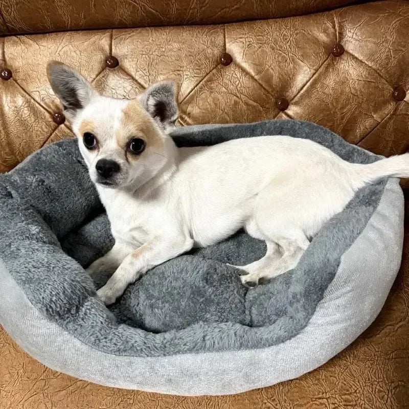 Cama Sofá Super Macia para Cães e Gatos