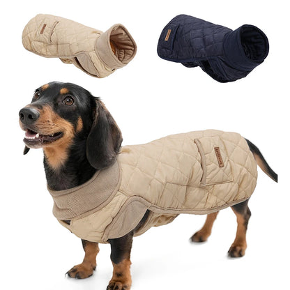 Roupinha de Inverno para Dachshund