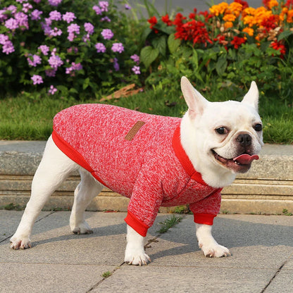 Moletom de Inverno para Cães e Gatos