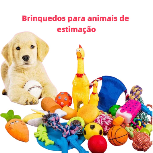 Kit com 10 Brinquedos Mordedores para Cães