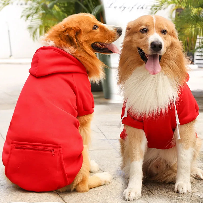 Roupinha com Capuz para Cães Grandes