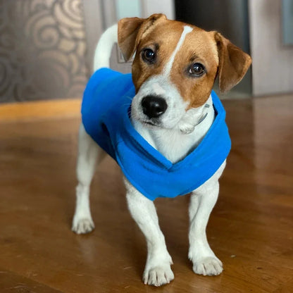 Roupinha Fleece para Cães com Guia